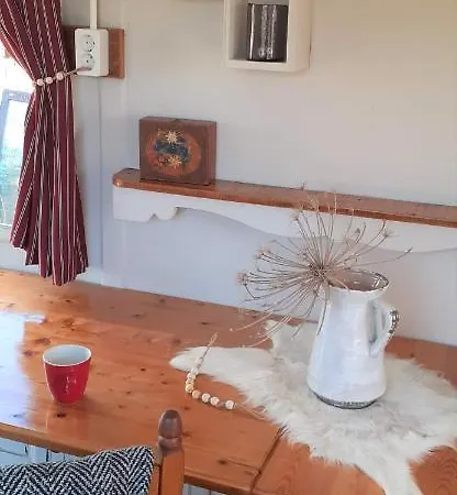 Pipowagen Paarse Opal *