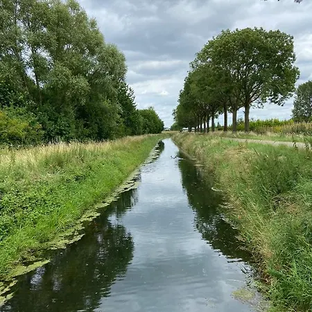 Pipowagen Paarse Opal Campingplads Lienden