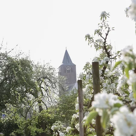 אתר קמפינג Pipowagen Paarse Opal *