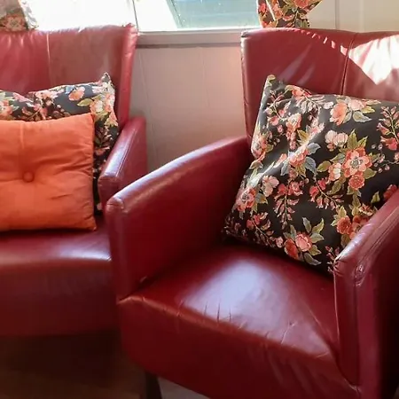 Pipowagen Paarse Opal Кемпинг