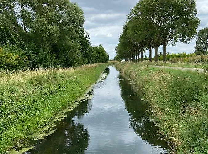 Pipowagen Paarse Opal Campingplads Lienden