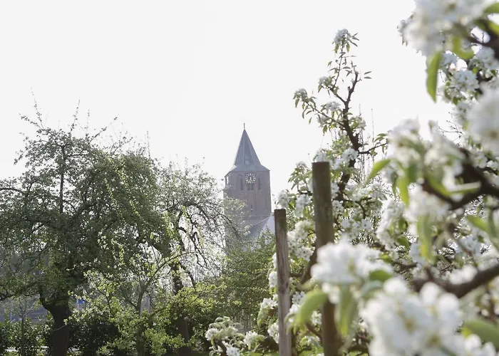 אתר קמפינג Pipowagen Paarse Opal *