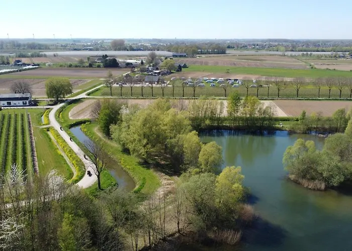 Pipowagen Paarse Opal