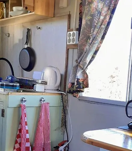 Pipowagen Paarse Opal Lienden